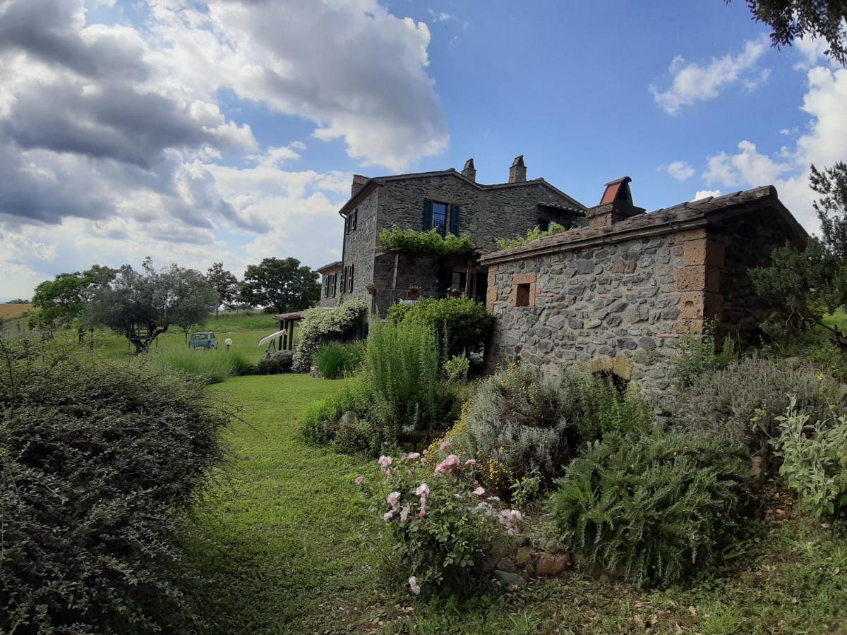 Agriturismo Cantinaccia Di Sopra Pitigliano Buitenkant foto