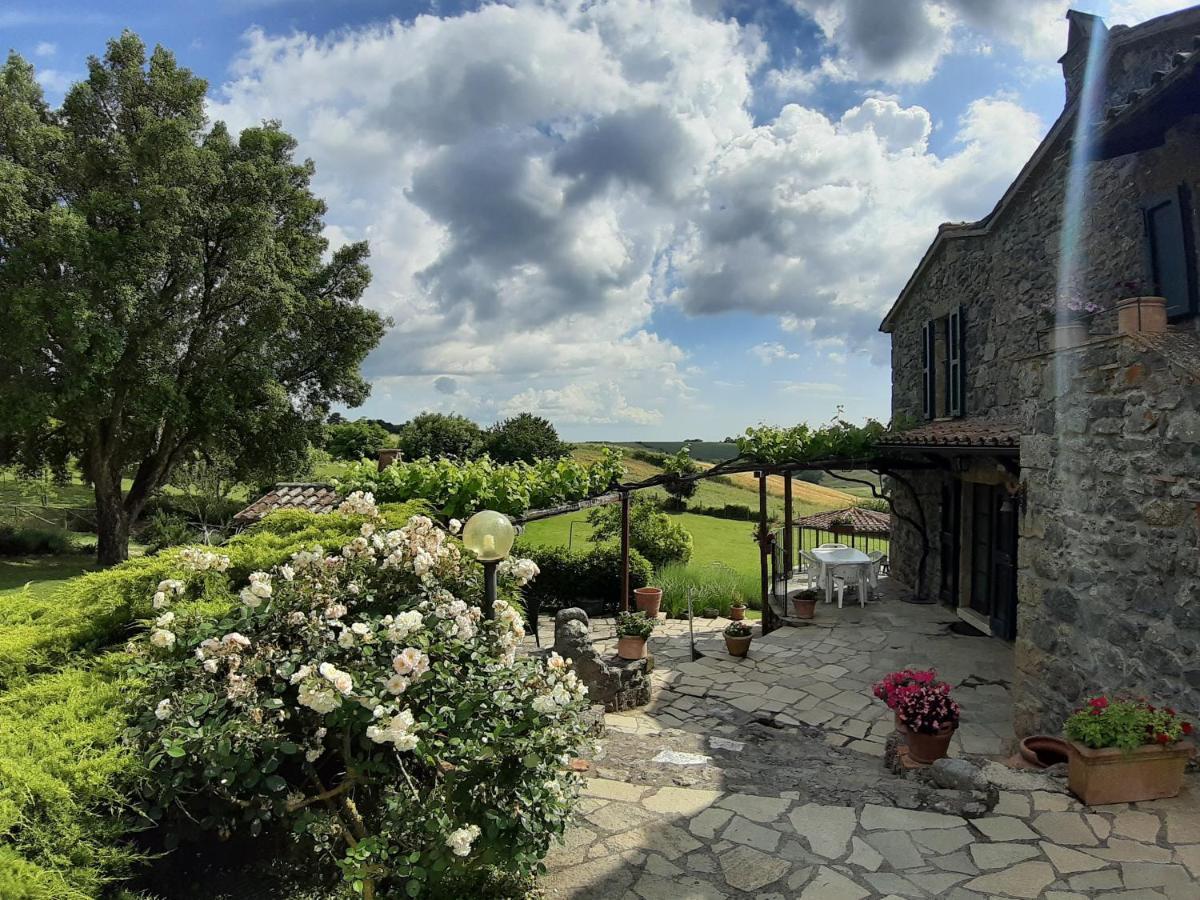 Agriturismo Cantinaccia Di Sopra Pitigliano Buitenkant foto
