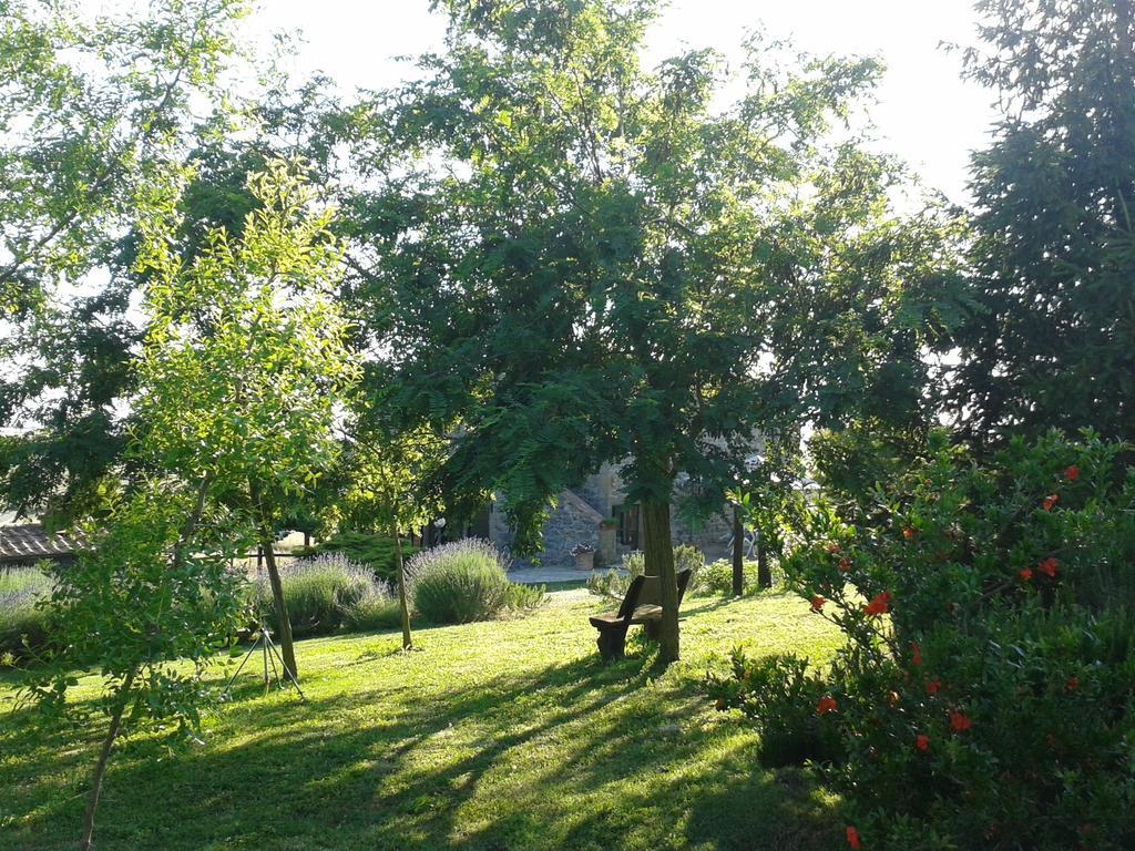 Agriturismo Cantinaccia Di Sopra Pitigliano Buitenkant foto