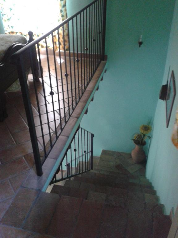 Agriturismo Cantinaccia Di Sopra Pitigliano Buitenkant foto